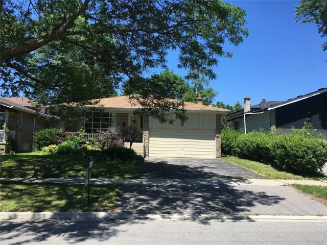 24 Wyvern Rd photo #1