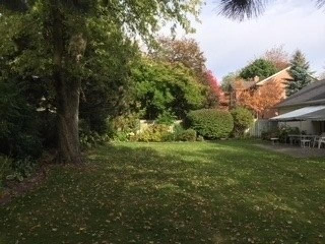 43 Wilket Rd