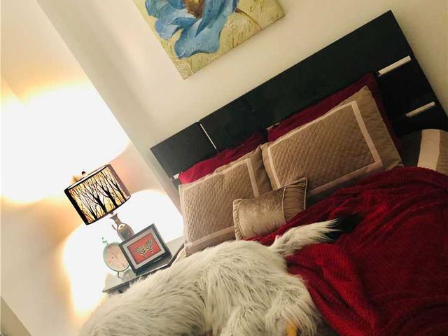 519 - 7 Grenville St