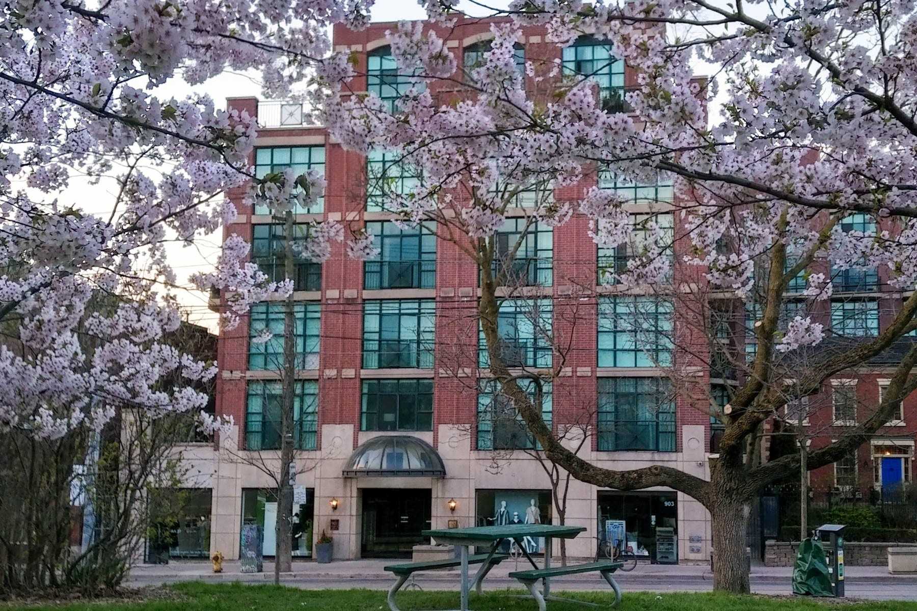 228 901 Queen St W, Toronto