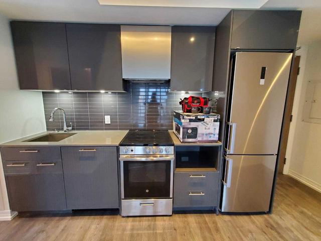 251 Jarvis St, Unit 3010