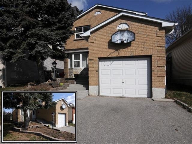 24 Plumridge Crt