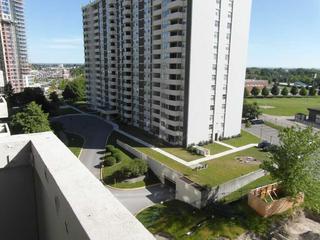 44 Falby Crt, Unit 905