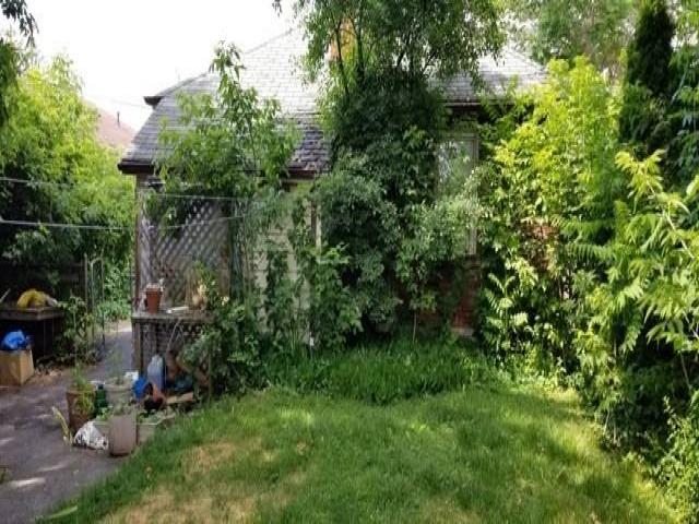 41 Cotton Ave