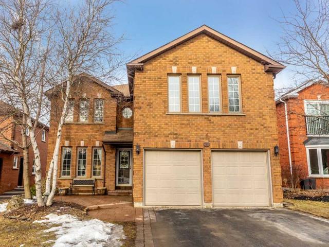 261 Jelley Ave