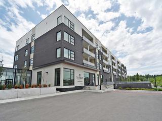 555 William Graham Dr, PH447