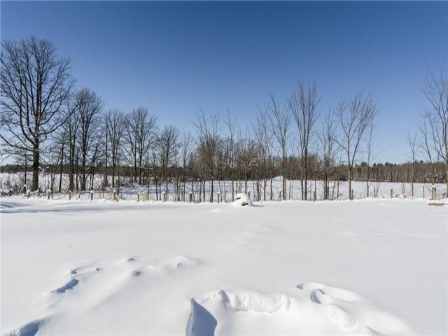 2566 Upper Big Chute Rd