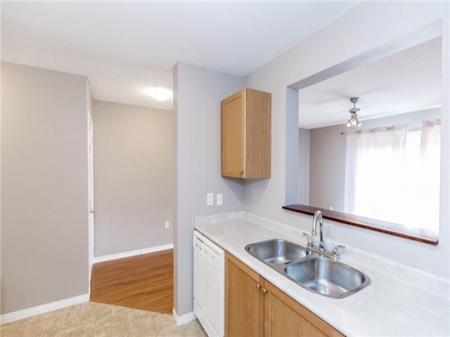 810 Coral Springs Lane