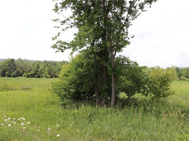 1808 Concession 8 Nottawa Rd S