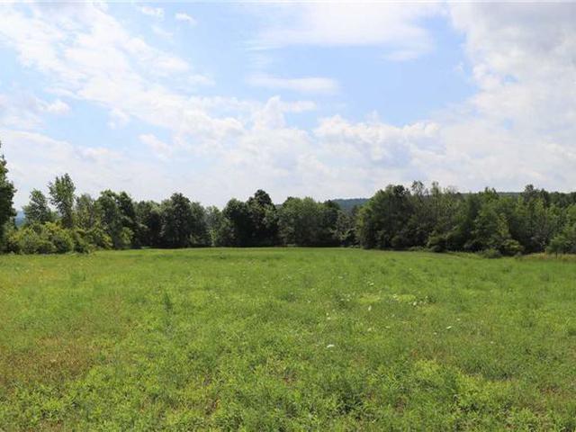 1808 Concession 8 Nottawa Rd S