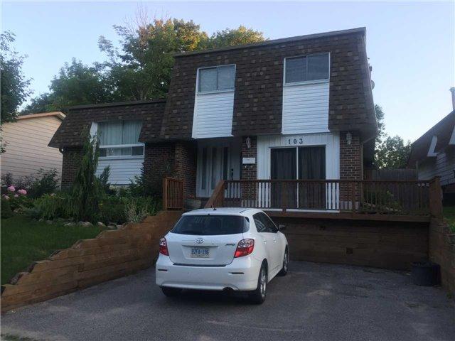 103 Springdale Dr