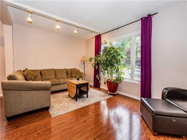67 Springdale Dr
