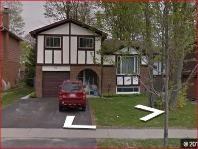78 Springdale Dr
