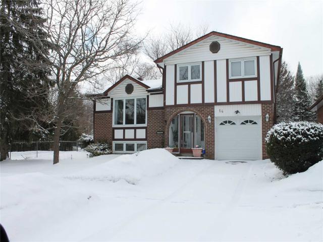14 Springdale Dr