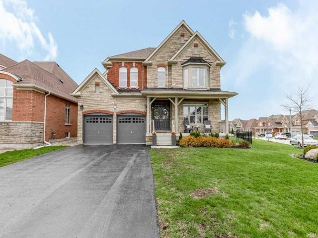 41 Royal Park Blvd