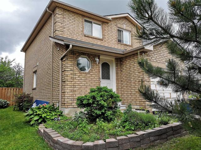 61 Clute Cres