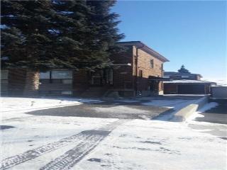 17 Quinan Dr, Unit Basemen