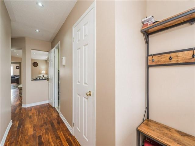 552 Orange Walk Cres