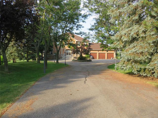 55 Michelangelo Blvd