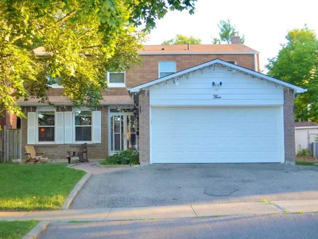 5 Newton Crt