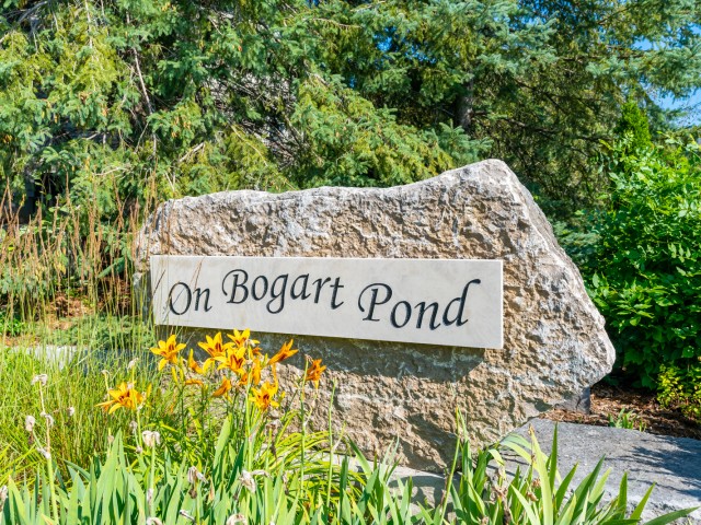 On Bogart Pond photo