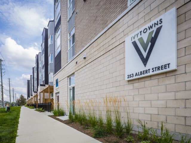 Ivy Towns