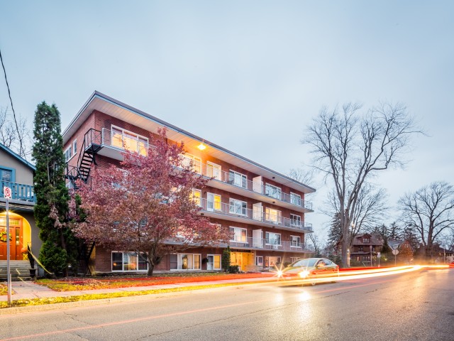 Avenue Terrace photo