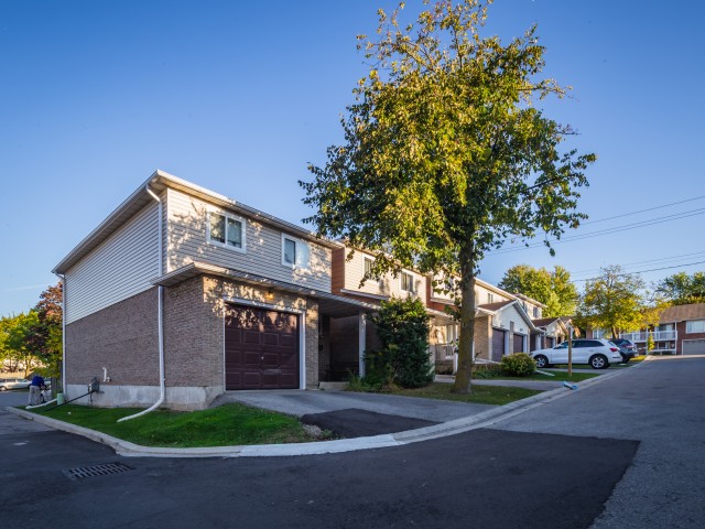 Hillside Terrace photo