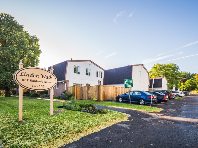 Linden Walk photo