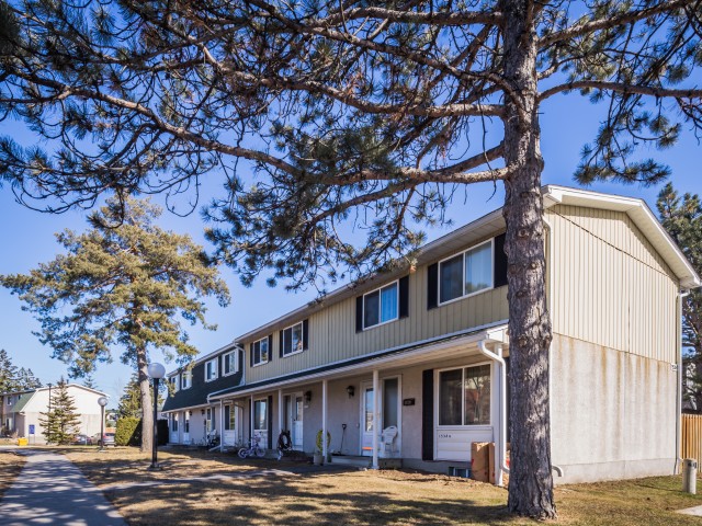 Pineview Court photo