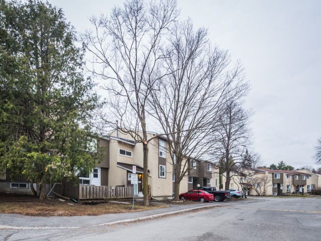 Lassiter Terrace photo