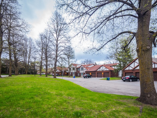 Harness Lane Townhomes photo