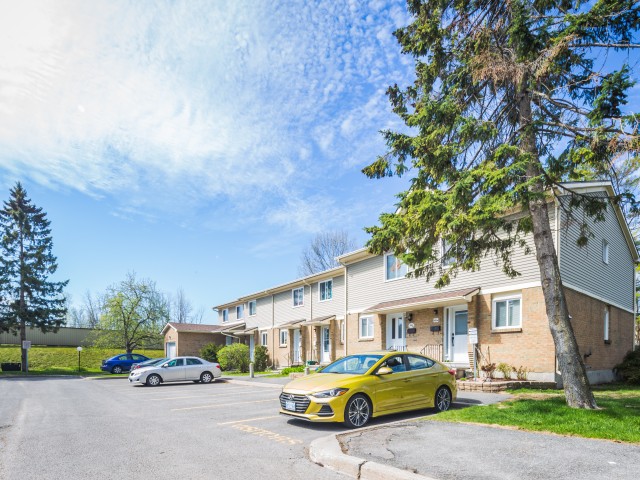 Valley Stream Village photo