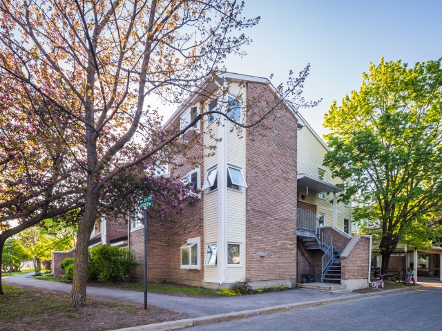 Shehyn Lane Townhouses photo