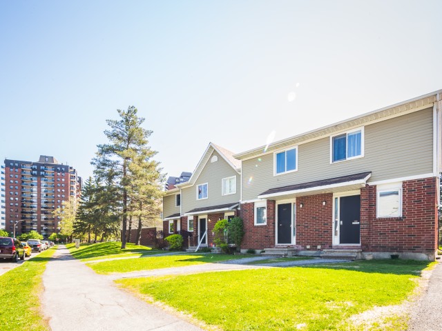 Cedarwood photo