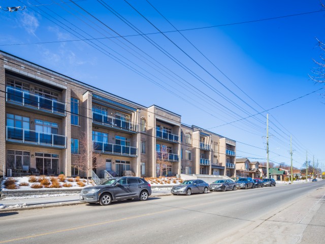 Tavani Westboro photo
