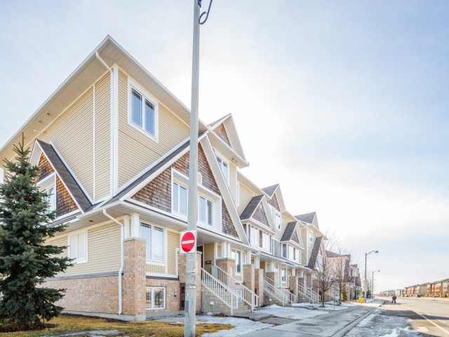 Chapman Mills Terrace Homes photo
