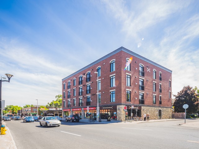 6 Grove photo