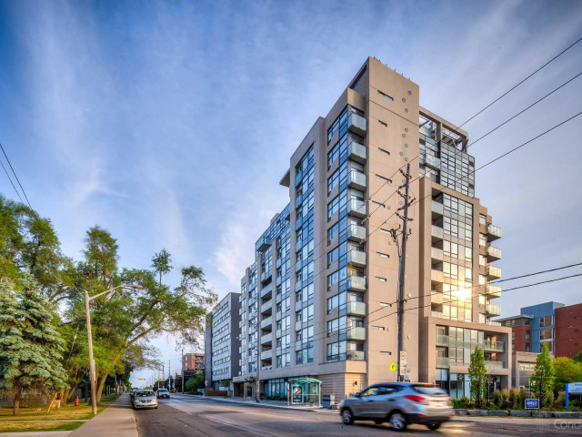 The East Yorker photo