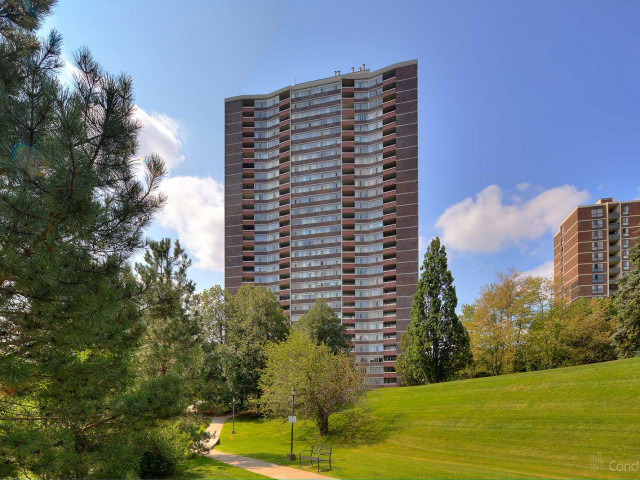Lynwood Lane