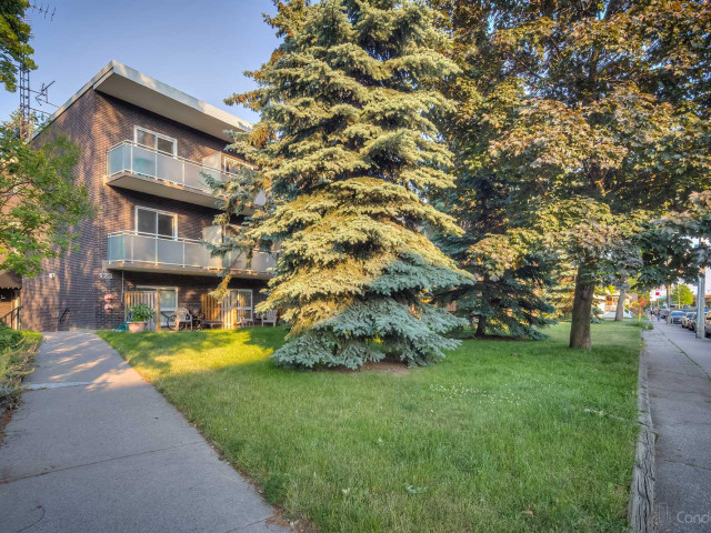123 Woodbine Avenue Condos
