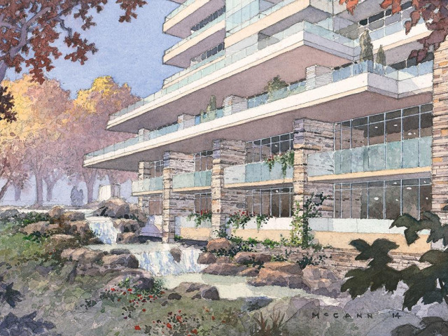 The Ravine