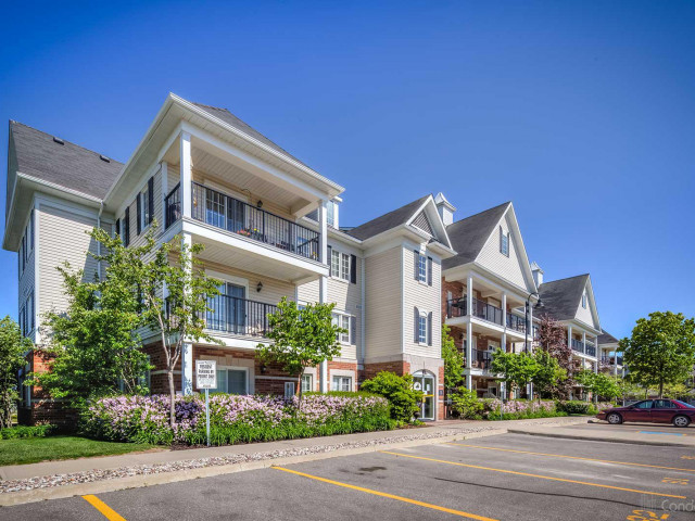 The Marina Village