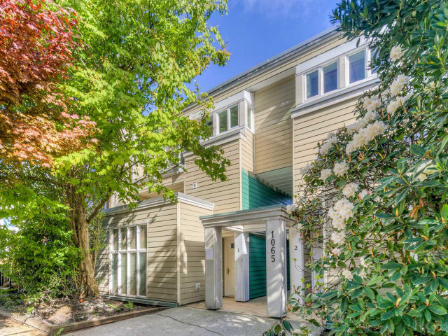 Acacia Mews photo