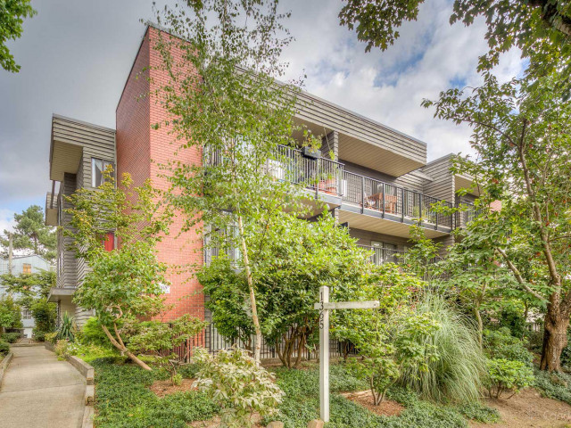 Mclean Gardens photo