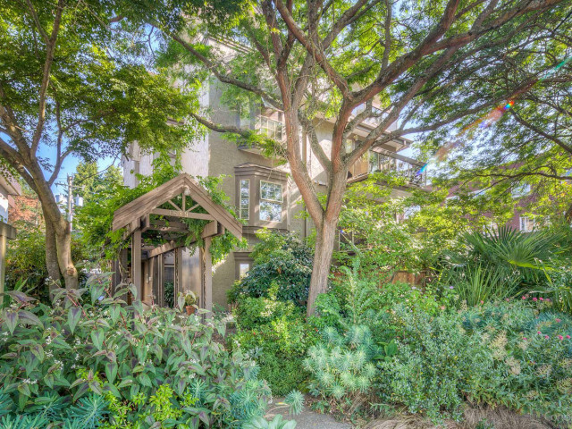 Angus Manor photo