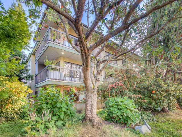 Frances Place photo
