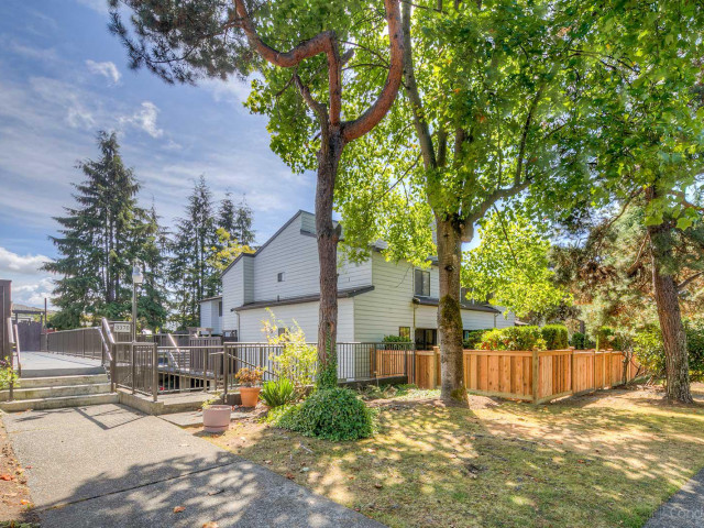 Aspenwood photo