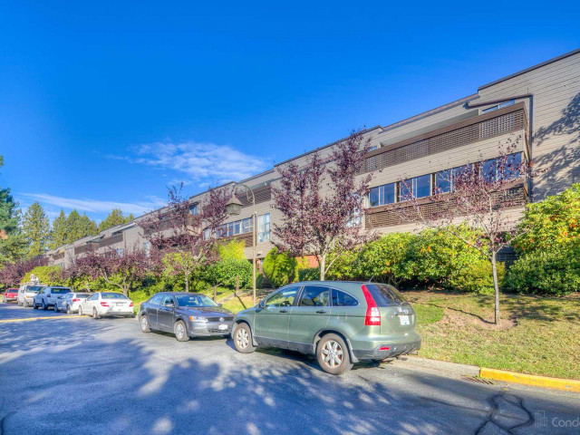 Wintergreen Place photo
