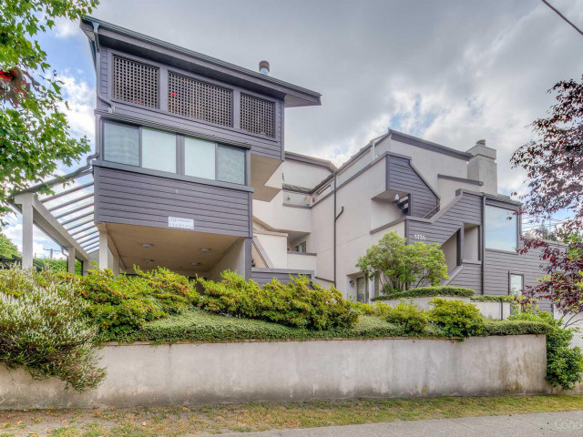 Carnarvon Mews photo